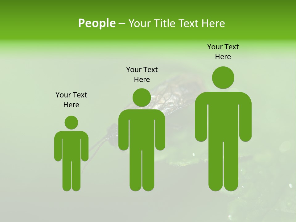 Wildlife Sawflies Animals PowerPoint Template