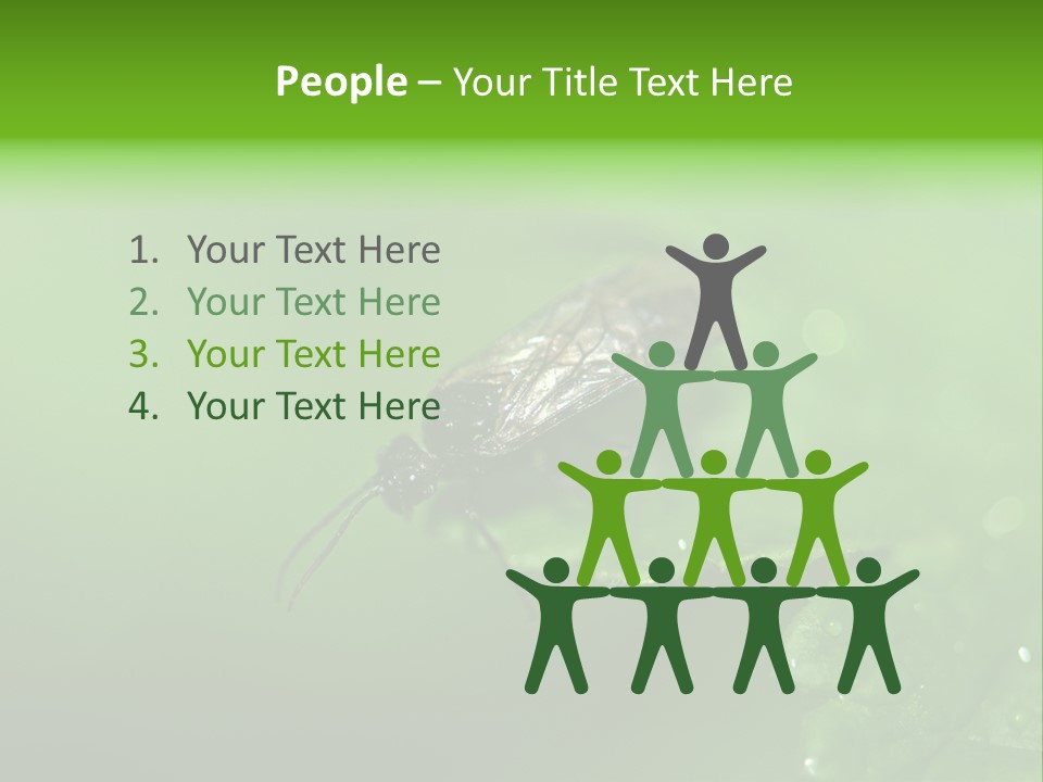 Wildlife Sawflies Animals PowerPoint Template