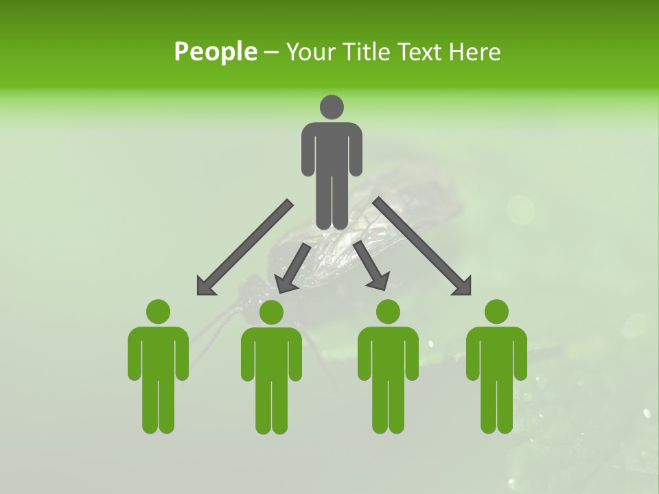 Wildlife Sawflies Animals PowerPoint Template