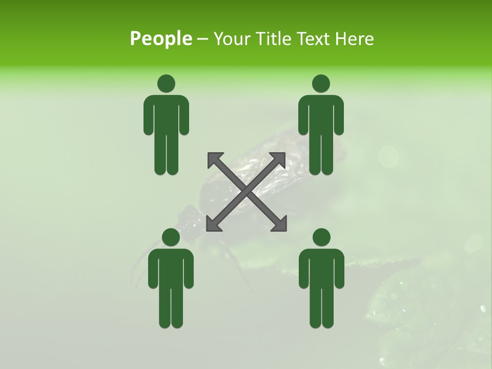 Wildlife Sawflies Animals PowerPoint Template