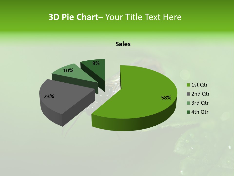 Wildlife Sawflies Animals PowerPoint Template