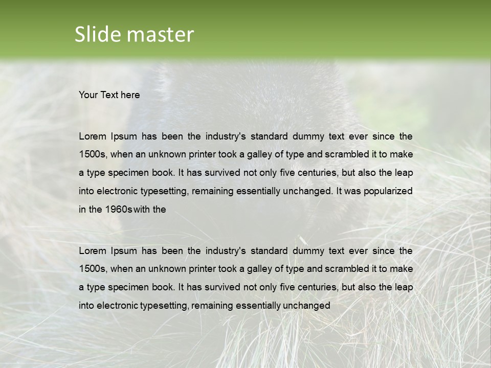 Mammal Marsupial Brown PowerPoint Template