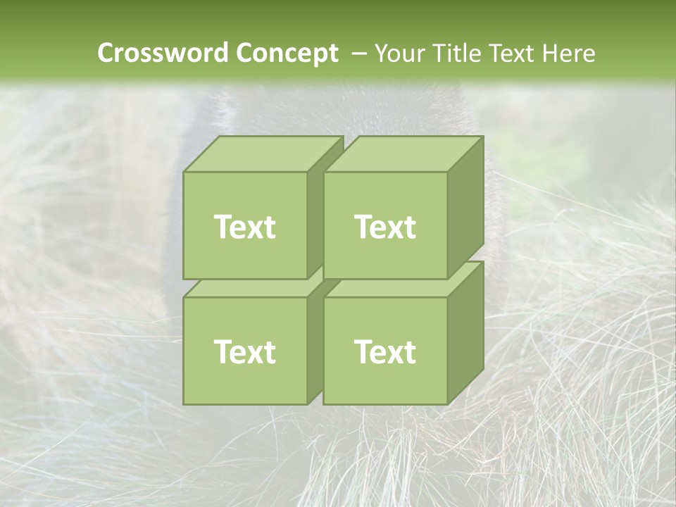Mammal Marsupial Brown PowerPoint Template