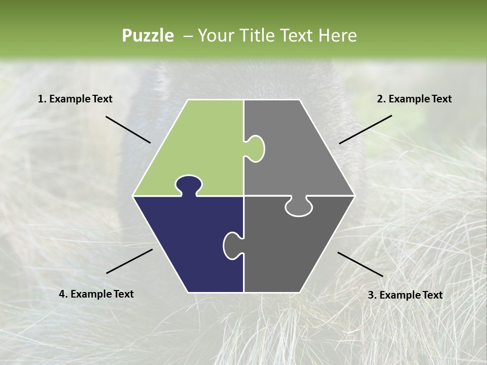 Mammal Marsupial Brown PowerPoint Template