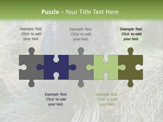 Mammal Marsupial Brown PowerPoint Template