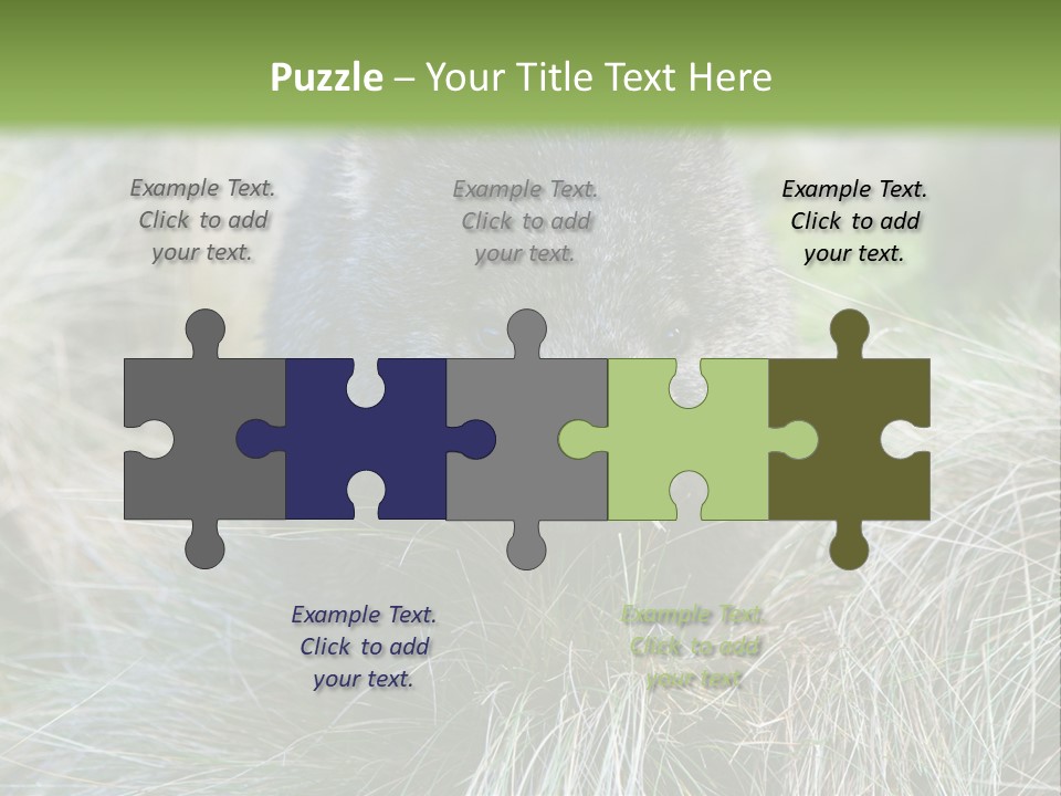 Mammal Marsupial Brown PowerPoint Template