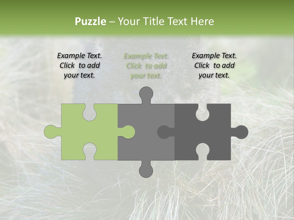 Mammal Marsupial Brown PowerPoint Template