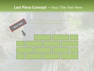 Mammal Marsupial Brown PowerPoint Template