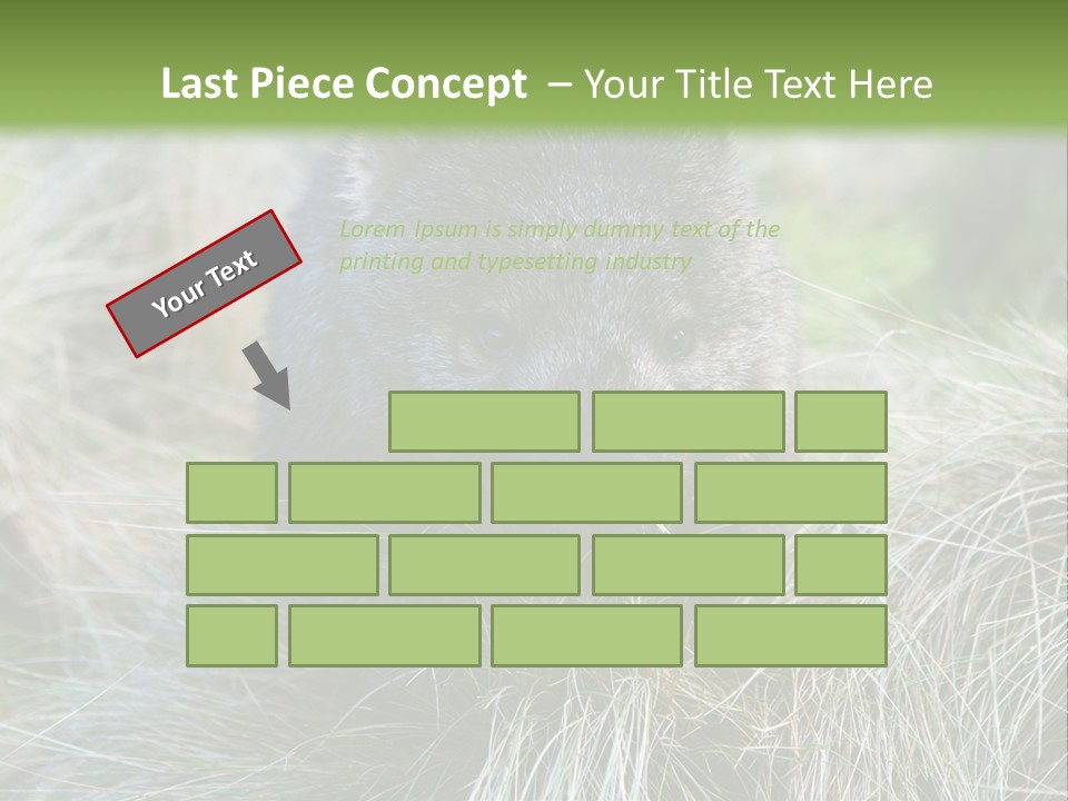 Mammal Marsupial Brown PowerPoint Template