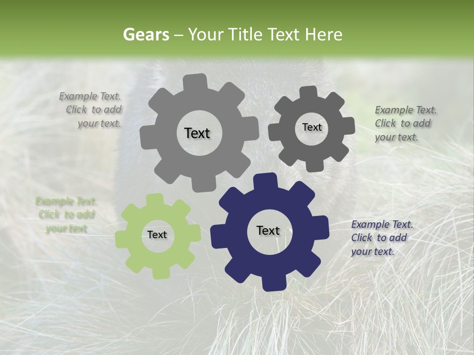 Mammal Marsupial Brown PowerPoint Template