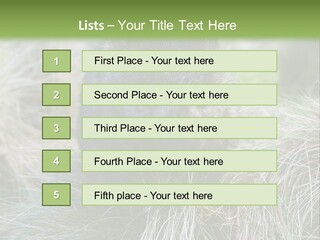 Mammal Marsupial Brown PowerPoint Template