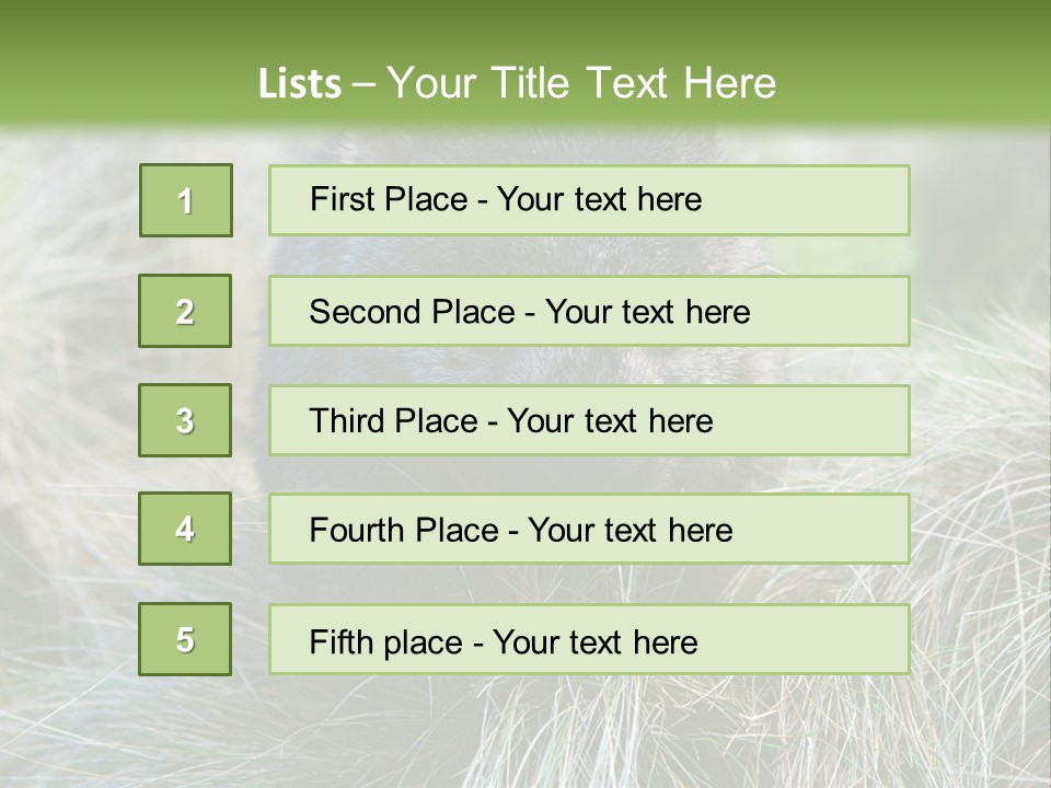 Mammal Marsupial Brown PowerPoint Template