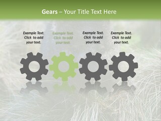 Mammal Marsupial Brown PowerPoint Template