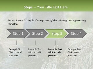 Mammal Marsupial Brown PowerPoint Template