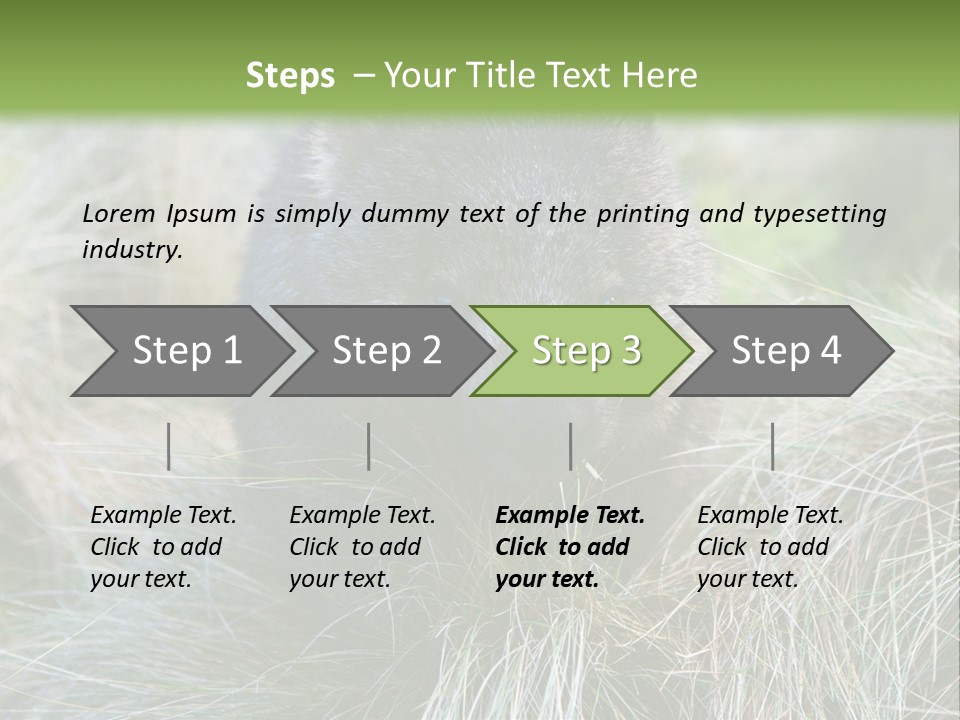 Mammal Marsupial Brown PowerPoint Template