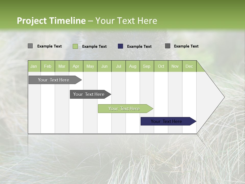 Mammal Marsupial Brown PowerPoint Template