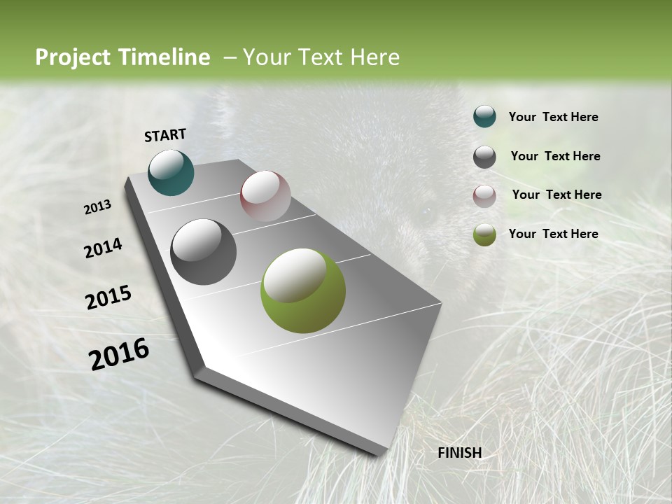 Mammal Marsupial Brown PowerPoint Template