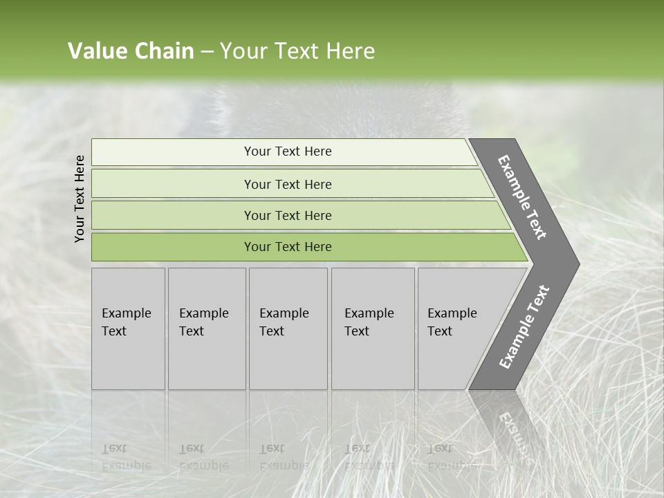 Mammal Marsupial Brown PowerPoint Template