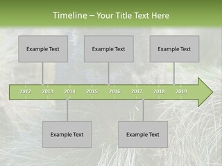 Mammal Marsupial Brown PowerPoint Template