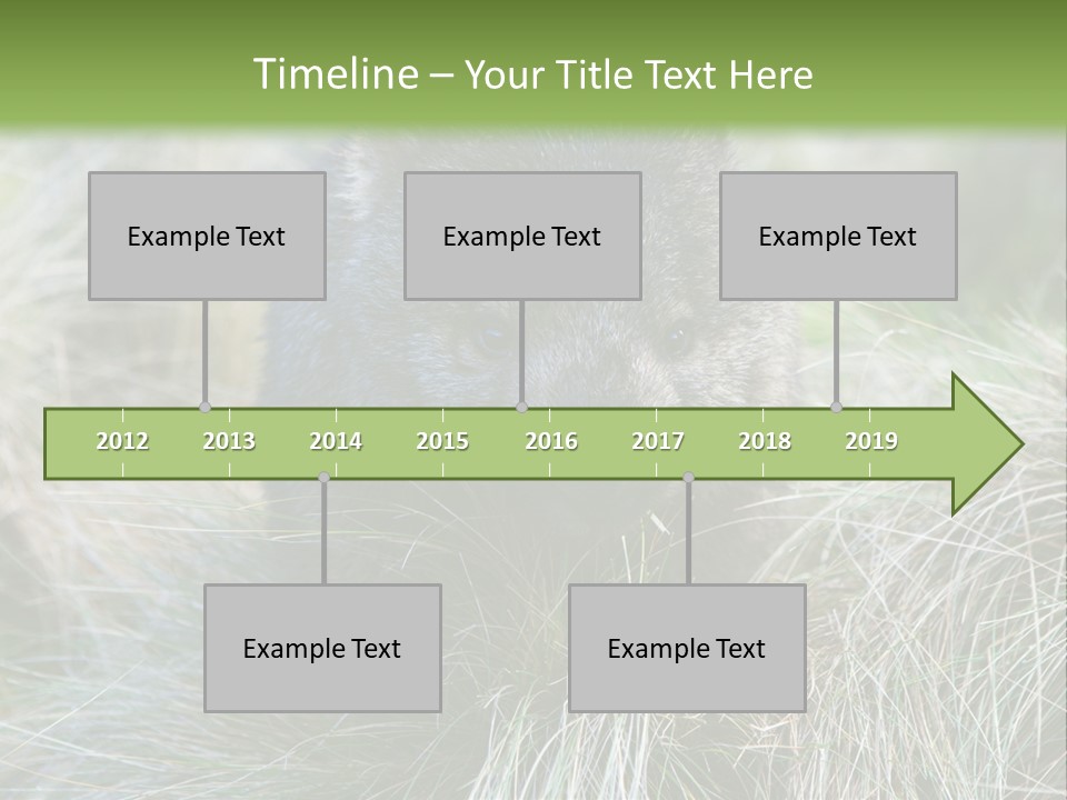 Mammal Marsupial Brown PowerPoint Template