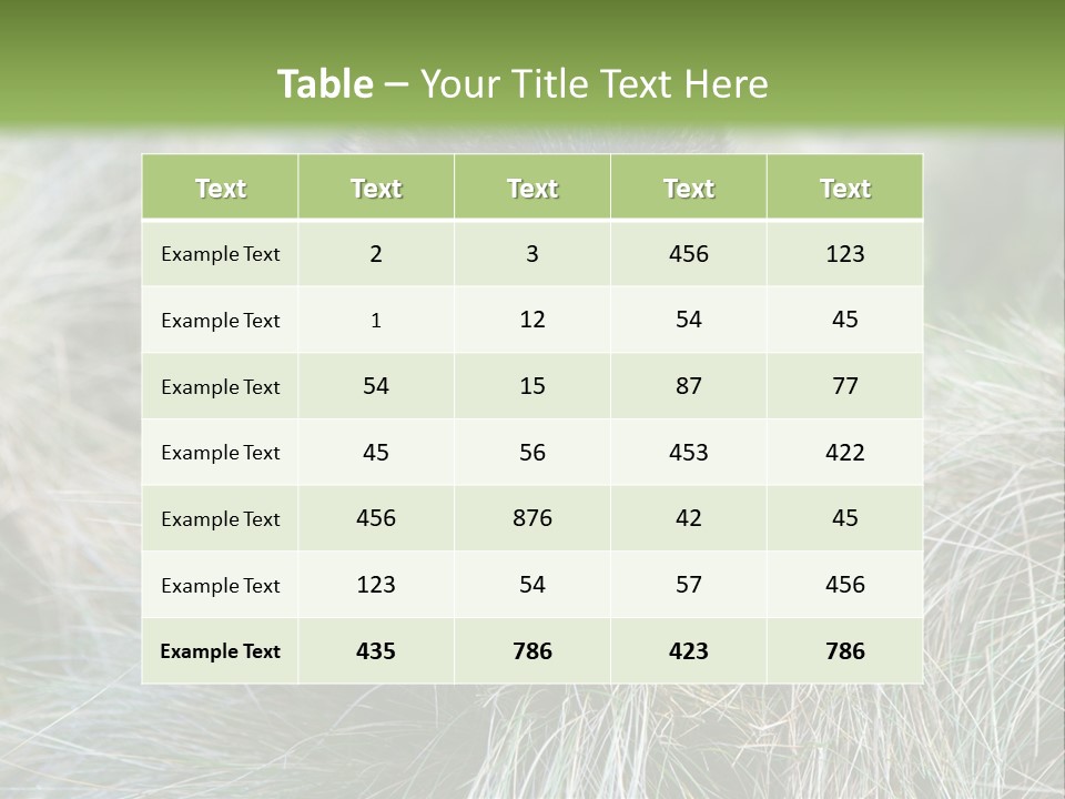 Mammal Marsupial Brown PowerPoint Template