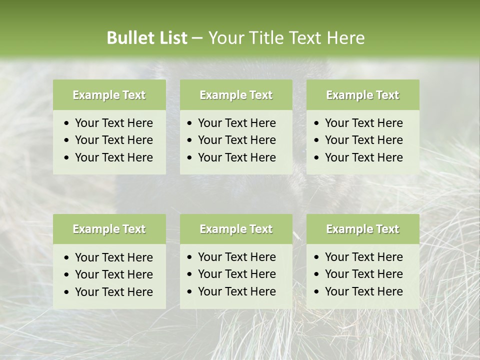 Mammal Marsupial Brown PowerPoint Template