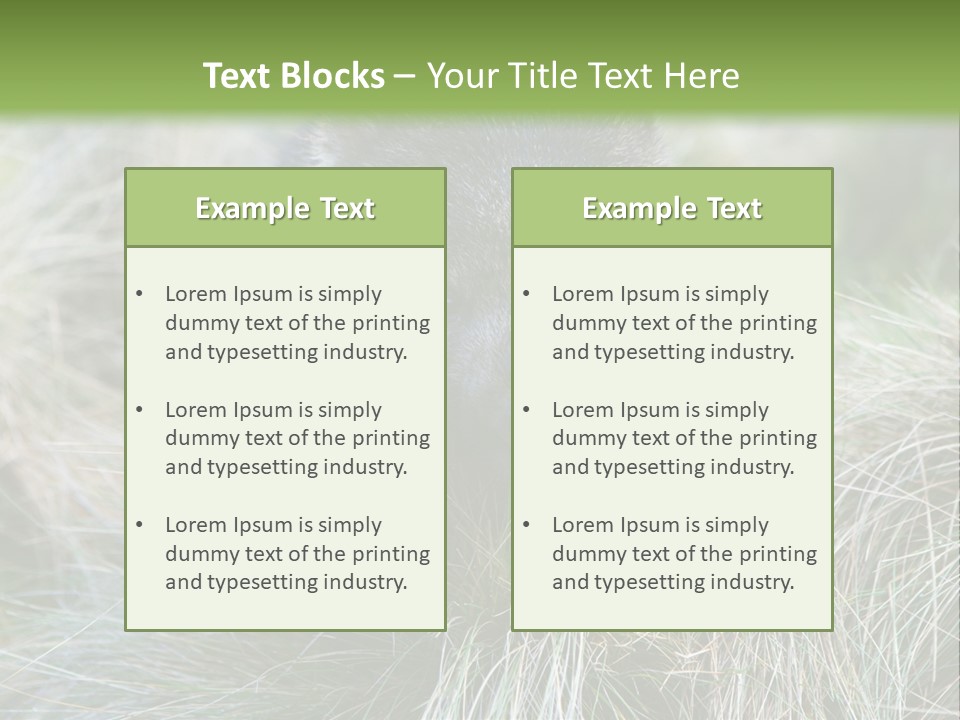Mammal Marsupial Brown PowerPoint Template