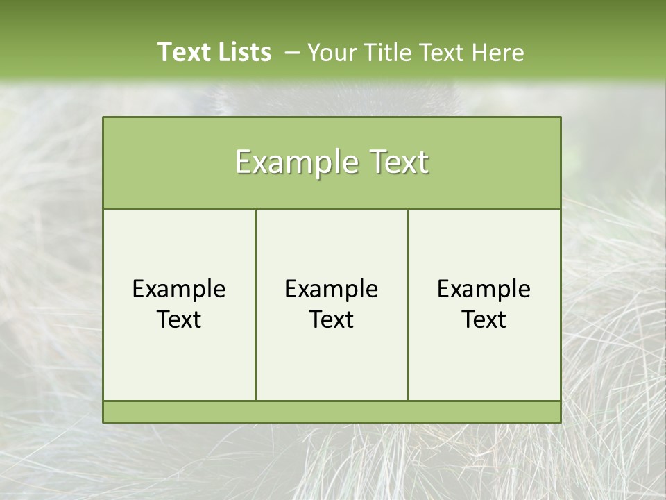 Mammal Marsupial Brown PowerPoint Template