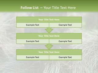 Mammal Marsupial Brown PowerPoint Template