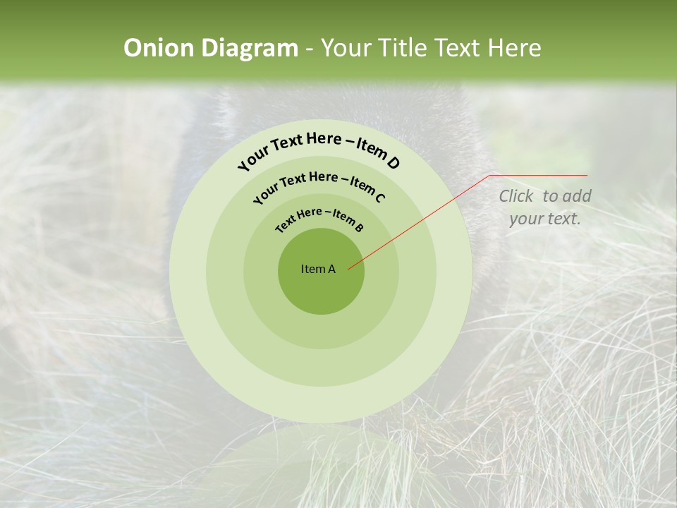 Mammal Marsupial Brown PowerPoint Template