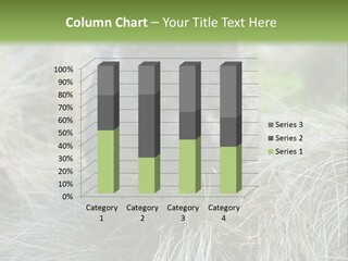 Mammal Marsupial Brown PowerPoint Template