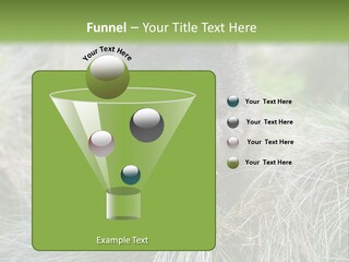 Mammal Marsupial Brown PowerPoint Template