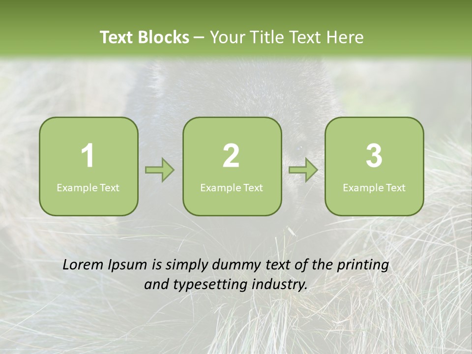 Mammal Marsupial Brown PowerPoint Template