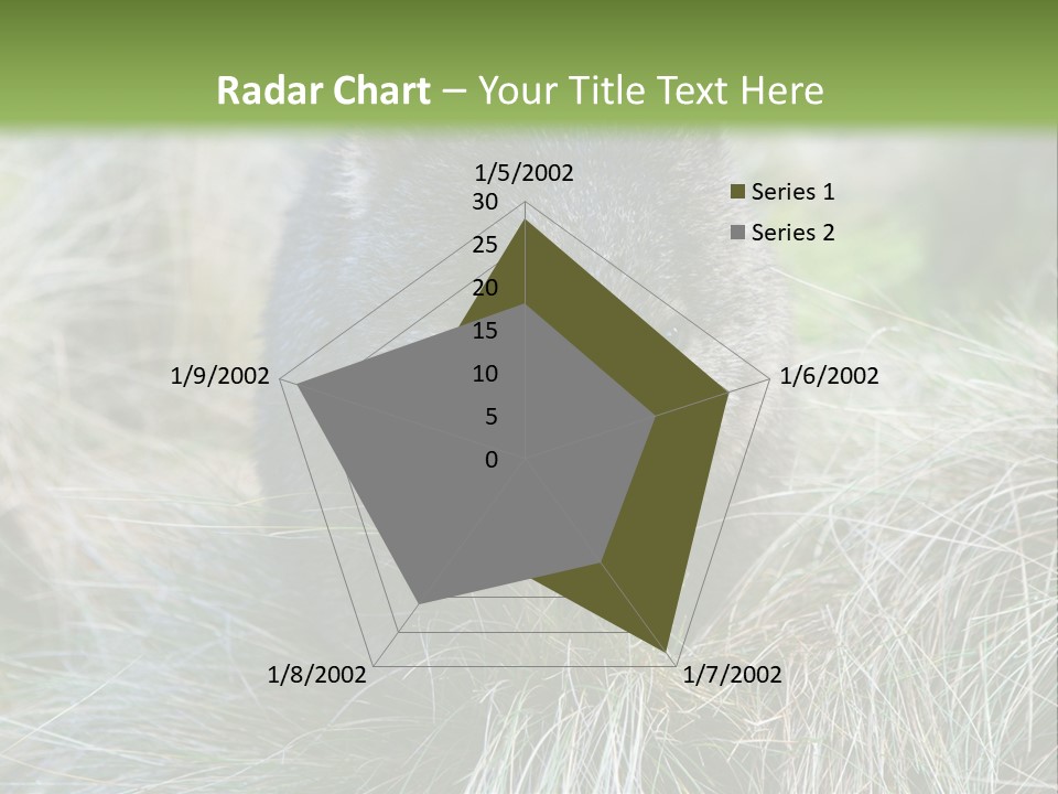 Mammal Marsupial Brown PowerPoint Template