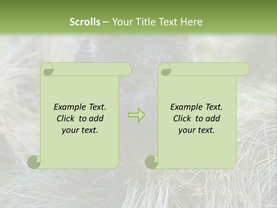 Mammal Marsupial Brown PowerPoint Template