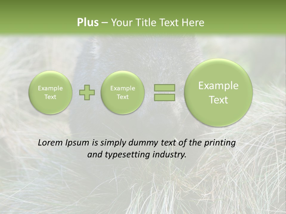 Mammal Marsupial Brown PowerPoint Template