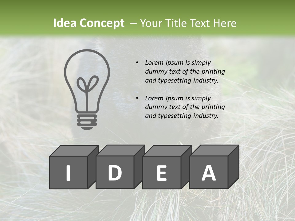 Mammal Marsupial Brown PowerPoint Template