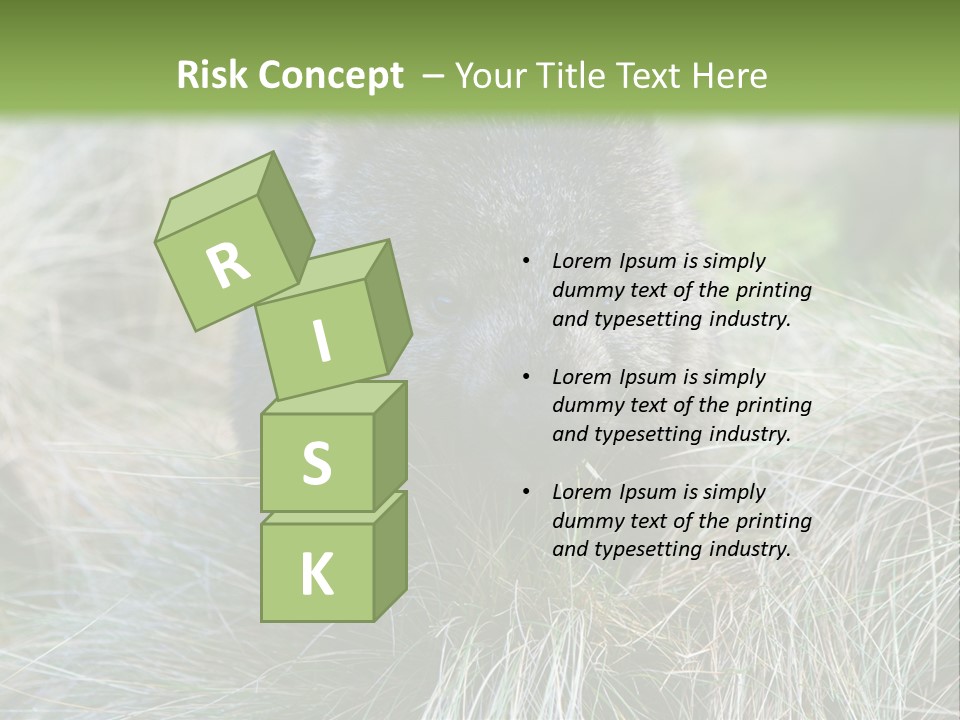 Mammal Marsupial Brown PowerPoint Template