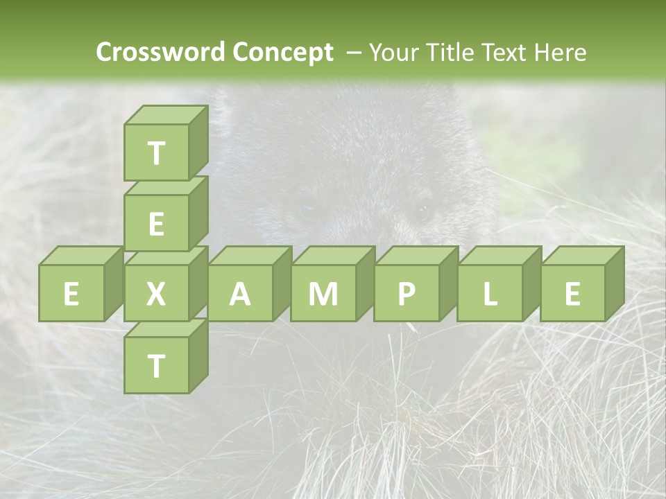 Mammal Marsupial Brown PowerPoint Template