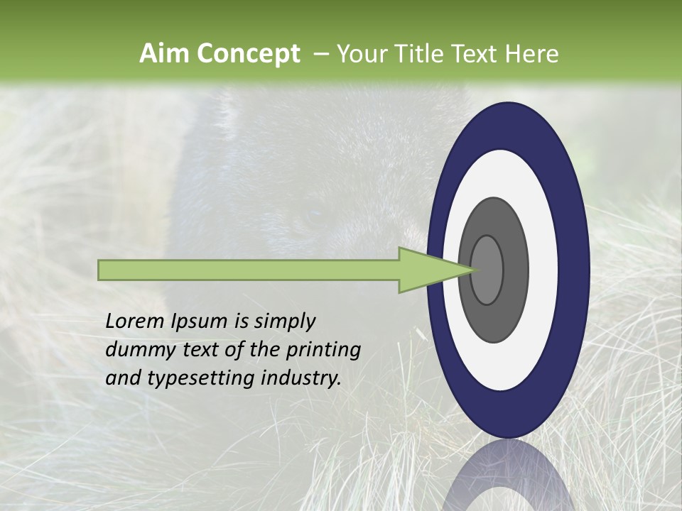 Mammal Marsupial Brown PowerPoint Template