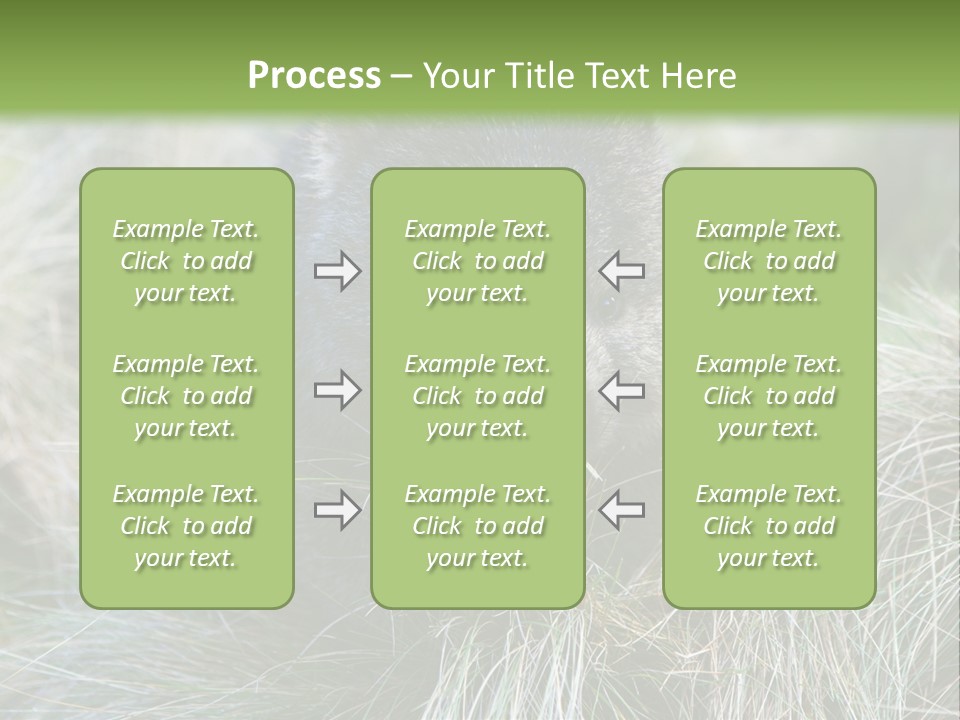 Mammal Marsupial Brown PowerPoint Template