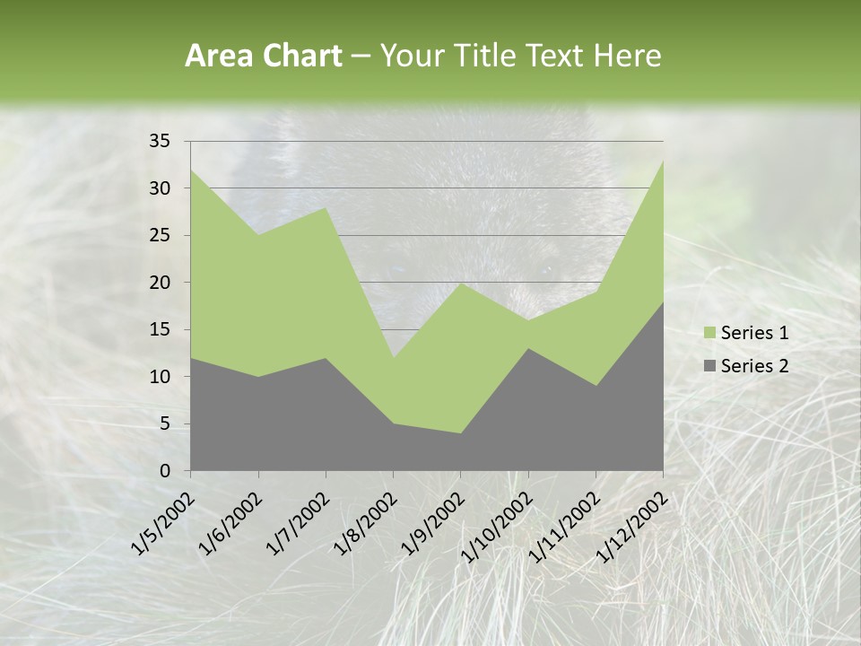 Mammal Marsupial Brown PowerPoint Template
