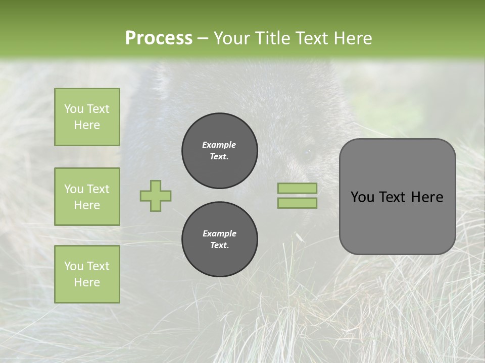 Mammal Marsupial Brown PowerPoint Template