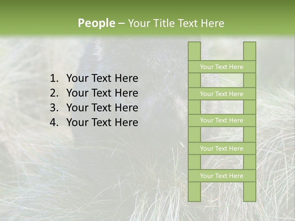 Mammal Marsupial Brown PowerPoint Template