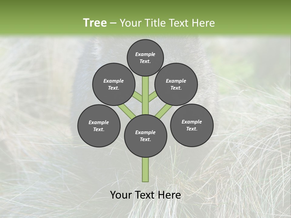 Mammal Marsupial Brown PowerPoint Template