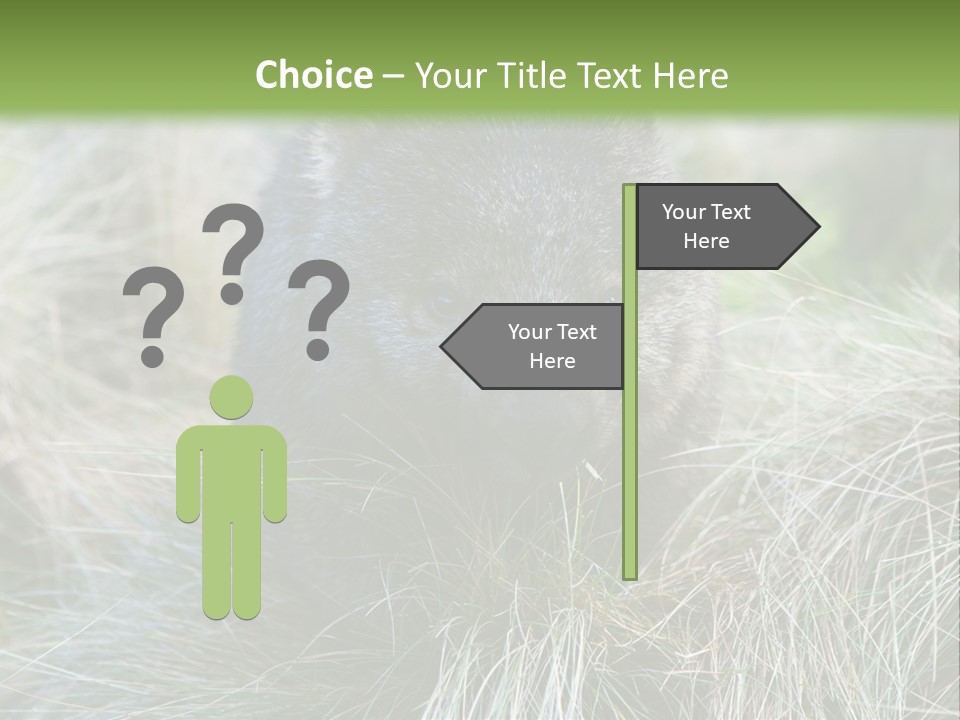 Mammal Marsupial Brown PowerPoint Template