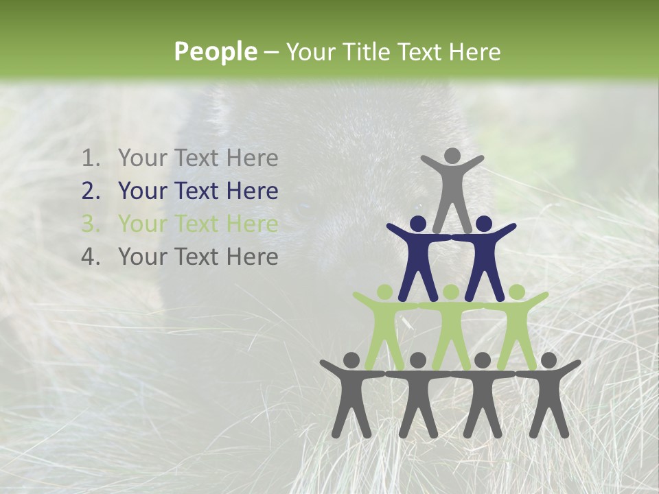 Mammal Marsupial Brown PowerPoint Template