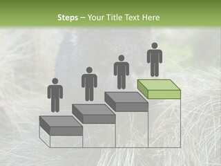 Mammal Marsupial Brown PowerPoint Template