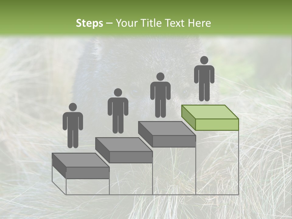 Mammal Marsupial Brown PowerPoint Template