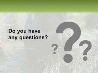 Mammal Marsupial Brown PowerPoint Template